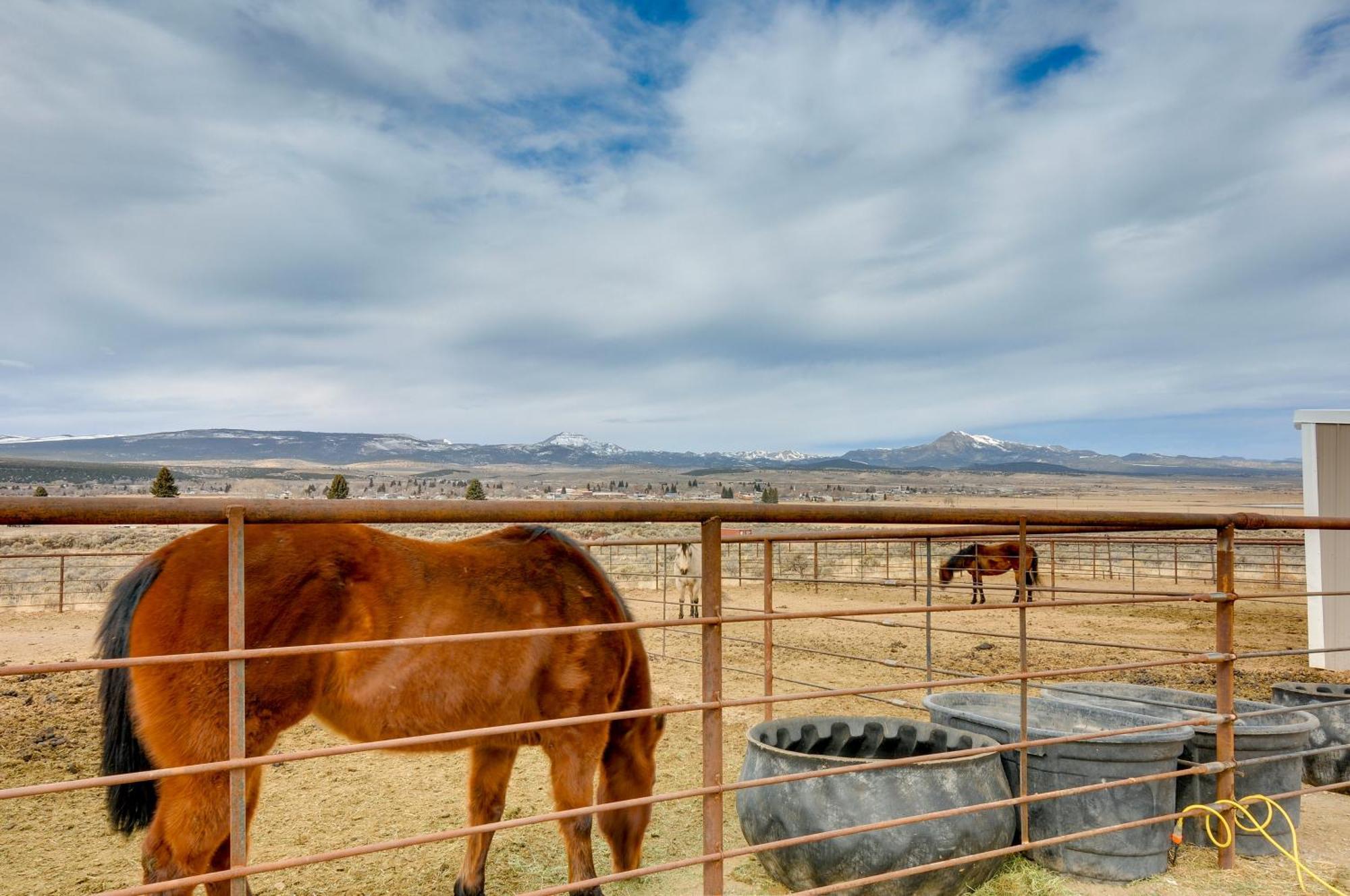 Ranch Escape With Patio About 21 Mi To Bryce Canyon Panguitch Exterior photo